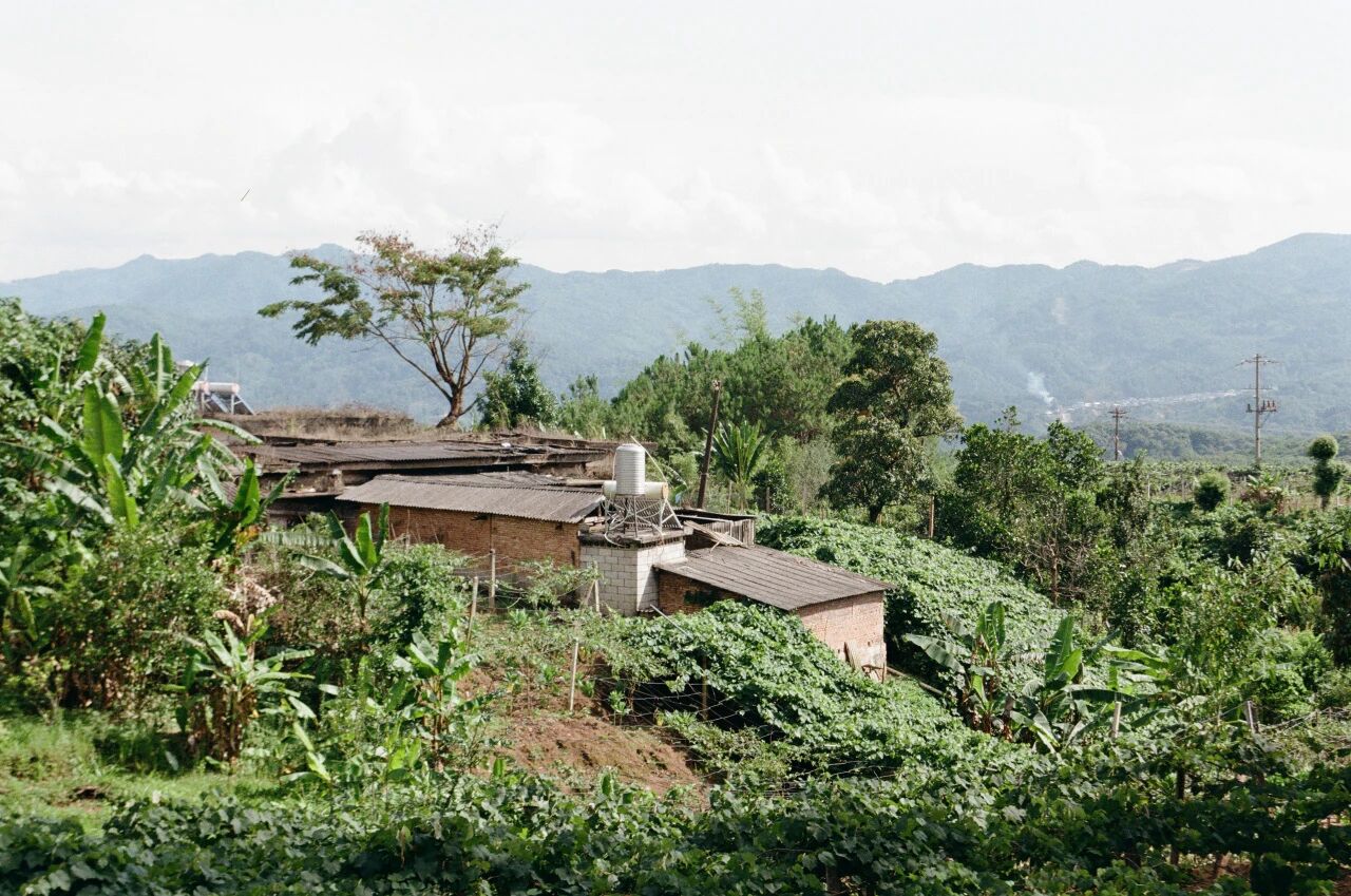 naze naze / 在孟连：织布的平静午后