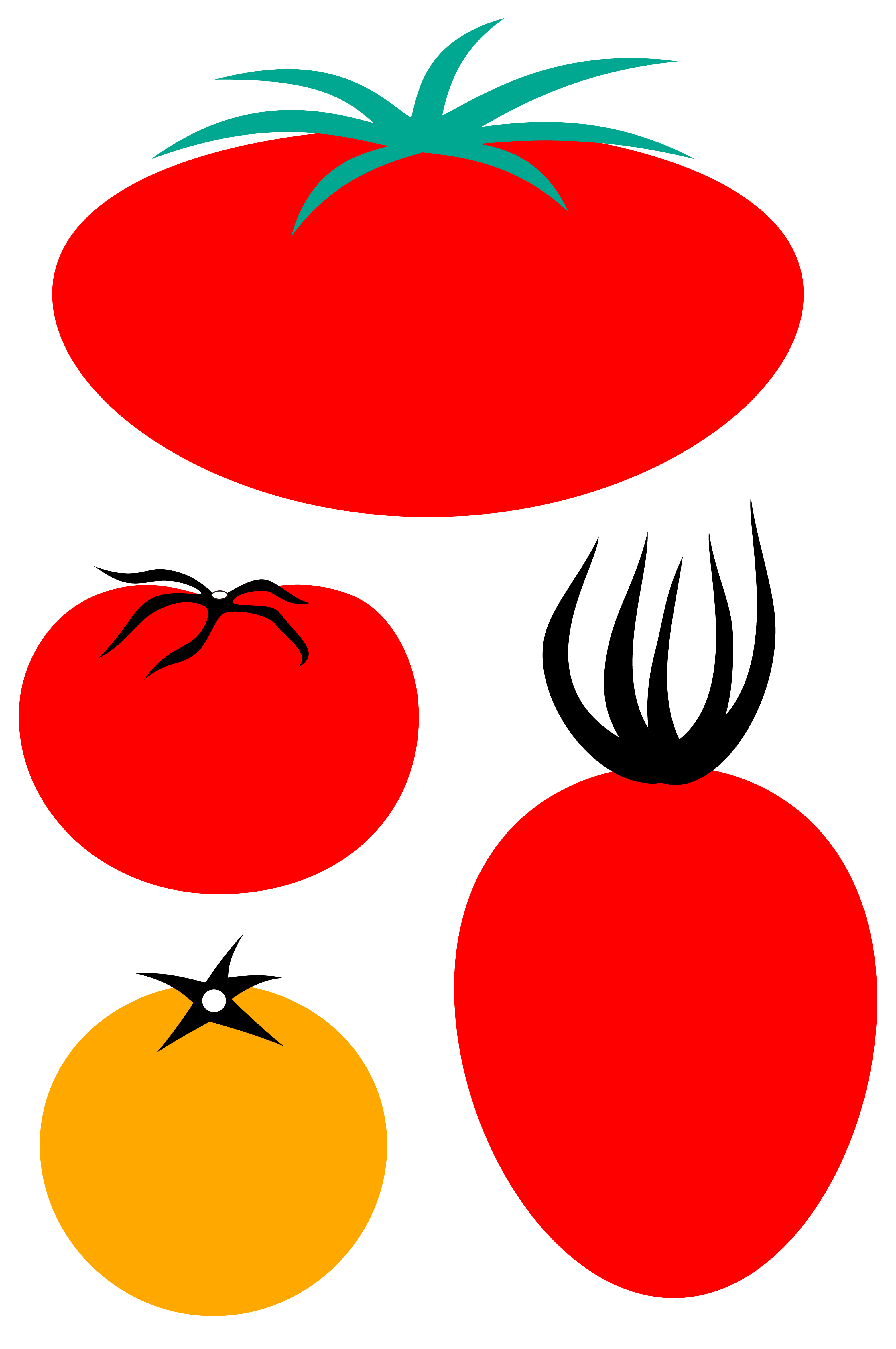 3ge3 Project pure tomato