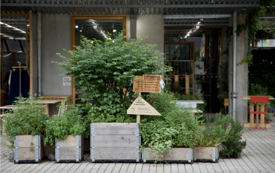 coffea SHED / 大棚可食植物单元 coffea SHED / 大棚可食植物单元